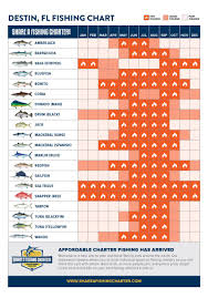 What S Biting In Destin Fl Destin Fishing Season Gulf Coast Florida