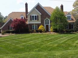 A longer cutting height will result in a stronger, deeper root system. A A Lawn Care Landscaping Northern Kentucky Florence