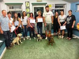 Toilet training and coming when called. Puppy Socialisation Training Dorset Hampshire New Forest Ringwood Dogs