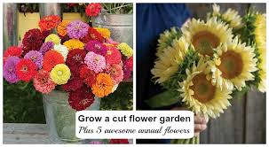 These plants also work well. How To Plant Grow A Cut Flower Garden Plus 5 Flowers To Get Started