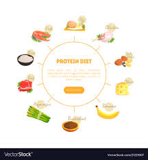 Protein Diet Chart Diagram Nutrition And