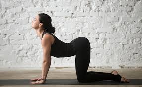 The cat and cow poses are simple and provide great benefits, including opening the lungs for better breathing. description & history the cat and cow poses are considered simple yoga poses. Why We Do Cat Cow Pose