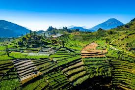 Explore indonesia holidays and discover the best time and places to visit. Pt Stefes Indonesia Stefes
