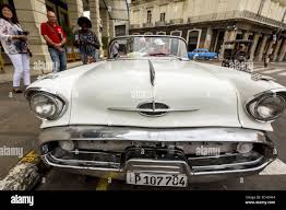 Image result for Old English White 1992 Taxi