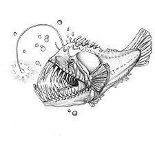 Teach about the different breeds of fish and their unique. Pin On Art