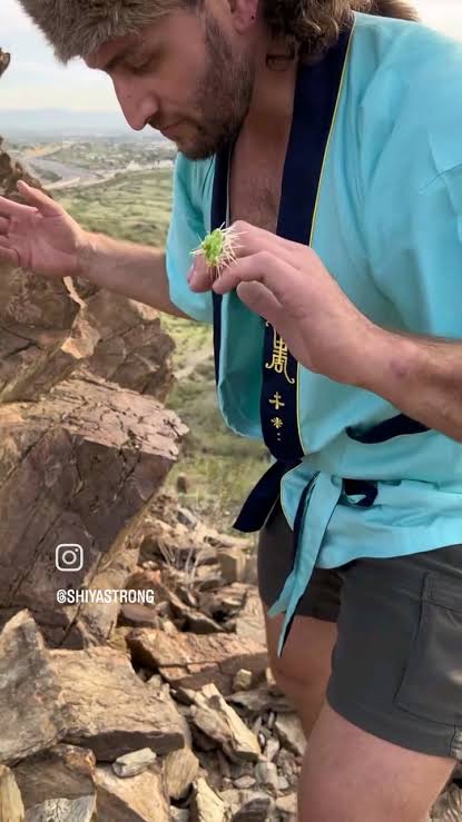In case you got a cholla cactus stuck on you, here is what you gonna da