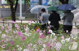 News source: 네이트