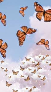 Collection by emmy • last updated 2 weeks ago. Butterfly Sky Butterfly Wallpaper Iphone Butterfly Wallpaper Aesthetic Iphone Wallpaper