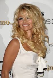 Anderson came to public prominence after being selected as the. Inside Joe Swash S Wild Week Living With Pamela Anderson Who Wasn T His Type Aktuelle Boulevard Nachrichten Und Fotogalerien Zu Stars Sternchen