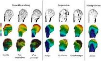 Figure 6 | PLOS ONE