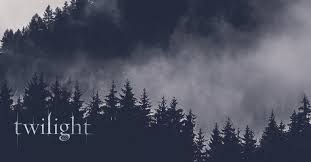 Time passed since Renesmee's birth in Breaking Dawn Pt 2?