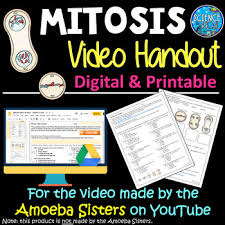 Maybe you would like to learn more about one of these? Amoeba Sisters Meiosis Worksheets Teaching Resources Tpt