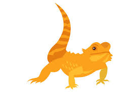 Download Bearded Dragon Svg Cut File By Creative Fabrica Crafts Creative Fabrica