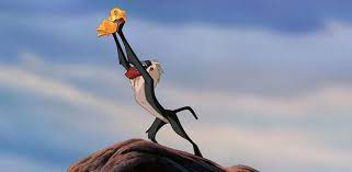Photographer Captures Real Life Lion King Moment When Mother Baboon Lifts Baby To The Sky