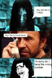 Daily Morning Awesomeness Awesome Morning Pics Gifs More Chuck Norris Jokes Chuck Norris Funny Chuck Norris