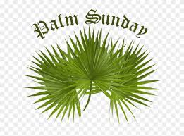 Free cliparts that you can download to you computer and use in your designs. Palm Sunday Clip Art Palm Sunday Palm Tree Hd Png Download 640x552 2446500 Pngfind