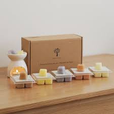 Are Gel Wax Melts Reusable? | Ella And I