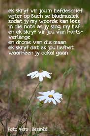 Pin On Afrikaans