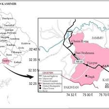 Image result for Brachychloa schiemanniana