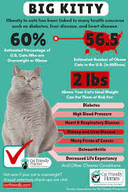 Obesity Cat Friendly Homes Cat Care Cats Obesity