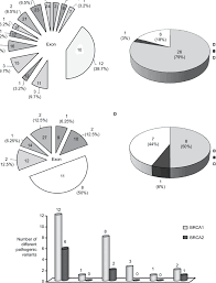Mutational Spectrum Of Brca Genes In The Breast And Or
