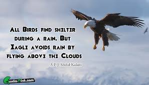 The eagle is the only bird that, in order to avoid the rain, soars above the rain clouds. 14 Inspirational Quotes Of Eagles Best Quote Hd