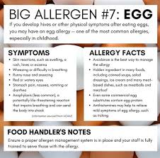 All About Egg Allergy See More In This Article Allergies Egg Allergy Egg Allergy Symptoms