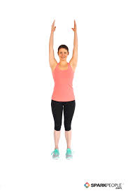 Use these 5 leg exercises to minimize knee problems and maximize gains. Knee Pull Ins Exercise Cheap Online