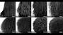 Chart Curl Pattern Hair Types