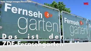 Zdf fernsehgarten hosts concerts for a wide range of genres. Fernsehgarten Zdf Traurige Nachricht Fur Fans Das Durfte Sie Treffen Derwesten De