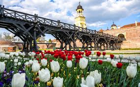 Pricesne la tine vin iisuse iar mariana anghel. Vin Romanii Vin La Alba Iar Ali Medical Center Oradea