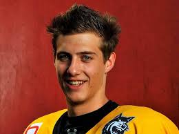 Abstimmung: Wahl zum Spieler des Monats bei den Wölfen Freiburg