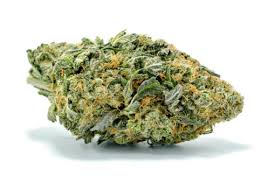 Use the form below to sign in to the patient portal to begin managing your records. Buy Northern Light Strain Northern Light Strain Medical Marijuana Shop