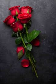 Pin By Nishi On Flowers For You In 2020 Rose Flower Wallpaper Love Rose Flower Red Roses Wallpaper