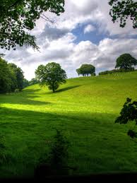 See more ideas about free wallpaper, nature wallpaper, wallpaper. Portrait Nature Wallpapers Wallpaper Cave