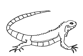 Serengeti actually means endless plains. Lizard Coloring Pages 100 Pictures Free Printable