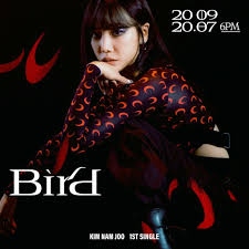 Pin On Kim Nam Joo Of Apink