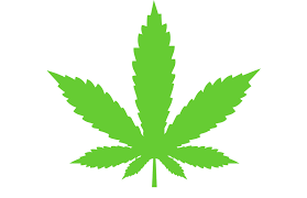 Under michigan law marijuana is listed as a schedule i controlled substance. Faqs San Mateo Marijuana Campaign