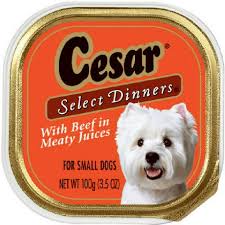 Pet Food Cesar Westie Print Ad CESAR Dog Food 2009 WESTIE West Highland  Terrier Art Photo