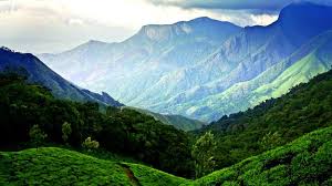 Image result for munnar