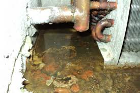 Then, mix equal parts of water and vinegar in a spray bottle and add a few drops of lemon or orange oil. Condensate Drain Pan Treatment 101 Global Water Technology Inc