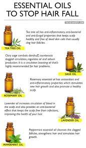 Every human hair goes through a growth cycle that allows the hair follicles to grow hair, rest, and then allow the hair to fall out. How To Stop Hair Loss Oil For Hair Loss Hair Growth Oil Natural Hair Loss