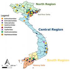 We did not find results for: Helminth Infections In Fish In Vietnam A Systematic Review Sciencedirect