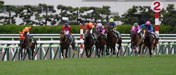 Последние твиты от ケイン・ヤリスギ「♂」 (@kein_yarisugi). å‡½é¤¨ã‚¹ãƒ—ãƒªãƒ³ãƒˆs å°å´Žç¶¾ å¤é¦¬ç›¸æ‰‹ã«ã‚„ã‚Œã‚‹ ãƒ¬ãƒ¼ã‚¹å¾Œ ã‚¸ãƒ§ãƒƒã‚­ãƒ¼ã‚³ãƒ¡ãƒ³ãƒˆ ç«¶é¦¬ãƒ‹ãƒ¥ãƒ¼ã‚¹ãªã‚‰ ç«¶é¦¬ã®ãŠã¯ãªã—