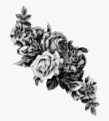 They are a symbol of purity, essence, and true love, a lovely thing to use as a wallpaper. Roses Black White Flowers Glitch Blur Transparent Background Vintage Flowers Png Png Download Kindpng