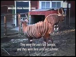 Självklart fanns det också möjlighet att tvätta av henne efteråt också. Parken Zoo Eskilstuna Destimap Destinations On Map