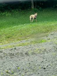 Sherry Kellogg (@sherrykellogg) • Instagram photos and videos