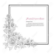 Flower Frame Of Rose Drawing And Sketch On White Background Royalty Free Cliparts Vectors And Stock Illustration Image 88595917
