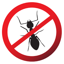 Having a source for pest control in san jose that you can trust is essential to protecting your home and its contents from damaging pests. Pest Control Exterminator Rodent Control Rodent Elimination Pest Elimination At Palo Alto Ca San Mateo Ca San Jose Ca And San Francisco Ca Redwood City Ca