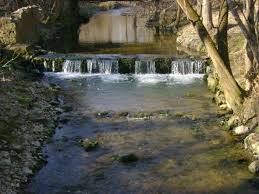 Learn About The Bushkill Bushkill Stream Conservancy